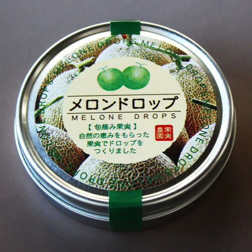 JAN 4510236005282 北海道の美味しい飴　採りたてメロンドロップ 有限会社リーベン 食品 画像