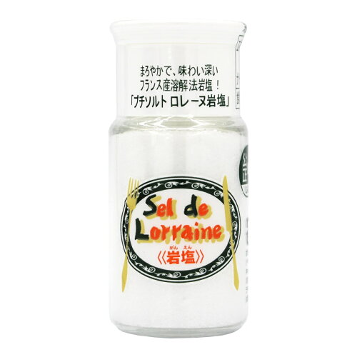 JAN 4512039000150 プチソルト ロレーヌ岩塩(43g) 株式会社白松 食品 画像