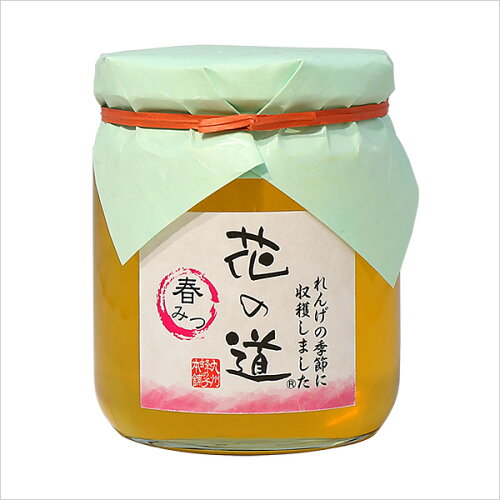 JAN 4513912000021 蜂の子 国産れんげはちみつ 600g 株式会社九州蜂の子本舗 食品 画像