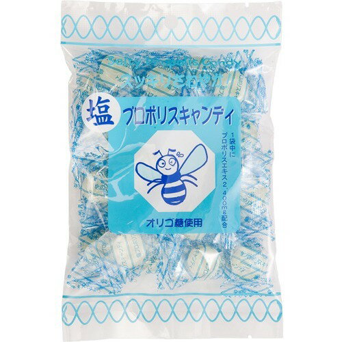 JAN 4514188017041 塩 プロポリスキャンディ(100g) 株式会社ソーキ スイーツ・お菓子 画像