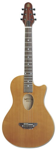 JAN 4515303104202 ESP BambooInn-K ナイロン弦ギター イーエスピー　Charプロデュース 株式会社イー・エス・ピー 楽器・音響機器 画像