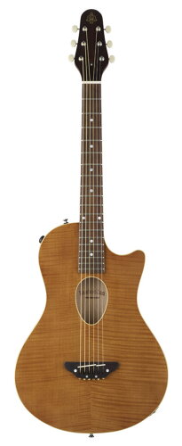 JAN 4515303104219 ESP BambooInn-CE Natural エレクトリックアコースティックギター スーパー イーエスピー BambooInn-CにピエゾPUを内蔵 (1309 2 RSS) 株式会社イー・エス・ピー 楽器・音響機器 画像