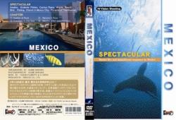 JAN 4519917007010 メキシコ　SPECTACULAR/ＤＶＤ/FIND-2004 エンドレス株式会社 CD・DVD 画像
