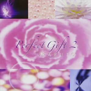 JAN 4520512000085 Perfect　Gift　2/ＣＤ/RASA-0008 株式会社ラサポイント CD・DVD 画像