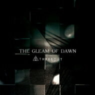 JAN 4522197130965 THE　GLEAM　OF　DAWN/ＣＤ/TRISE-0030 株式会社PCI MUSIC CD・DVD 画像