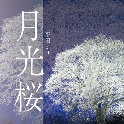 JAN 4525118074348 月光桜/ＣＤシングル（１２ｃｍ）/MONE-1802 オレンジインコーポレイテッド株式会社 CD・DVD 画像