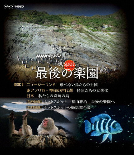 JAN 4527427810266 NHKスペシャル　ホットスポット　最後の楽園　Blu-ray　DISC　2/Ｂｌｕ－ｒａｙ　Ｄｉｓｃ/ASBD-1026 CD・DVD 画像