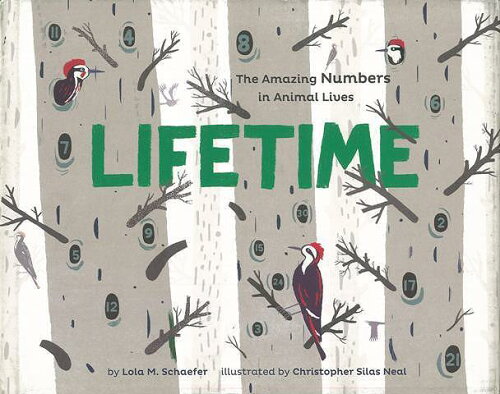 JAN 4528189444331 LIFE TIME The Amazing Numbers in Animal Lives 株式会社八木書店 本・雑誌・コミック 画像