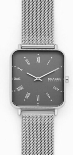 JAN 4531293004735 SKAGEN｜スカーゲン SKAGEN SKW6619 株式会社フォッシルジャパン 腕時計 画像