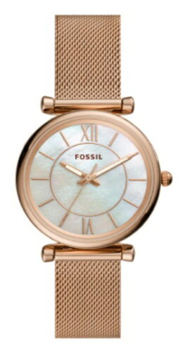 JAN 4531293041846 フォッシル｜FOSSIL FOSSIL ES4918 株式会社フォッシルジャパン 腕時計 画像