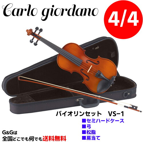 JAN 4534585200020 バイオリン Carlo giordano VS-1  4/4 サイズ マックコーポレーション株式会社 楽器・音響機器 画像