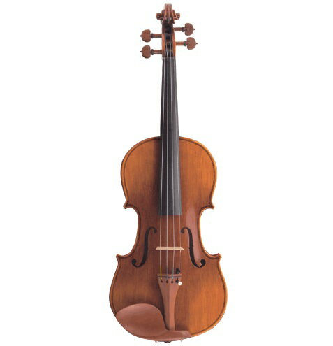 JAN 4534585200037 バイオリン Carlo giordano VS-2  4/4サイズ マックコーポレーション株式会社 楽器・音響機器 画像
