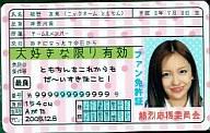 JAN 4535416166195 雑貨 AKB48 ファン免許証第4弾 AKF-24 板野友美 株式会社ヒラ商 ホビー 画像