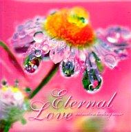 JAN 4535506801074 CD Eternal Love animation hialing music アニメサントラ MJCG-80107 株式会社マーベラス CD・DVD 画像