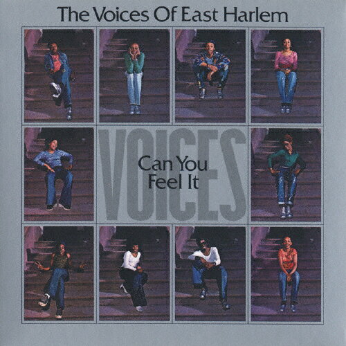 JAN 4540399050829 キャン・ユー・フィール・イット/CD/VSCD-5082 株式会社ヴィヴィド・サウンド・コーポレーション CD・DVD 画像