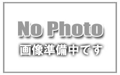 JAN 4545310005070 スタジオ27 1/20 ティレルType 019 サンマリノGP トランスキット タミヤ対応 ディテールアップパーツ 有限会社ジル ホビー 画像