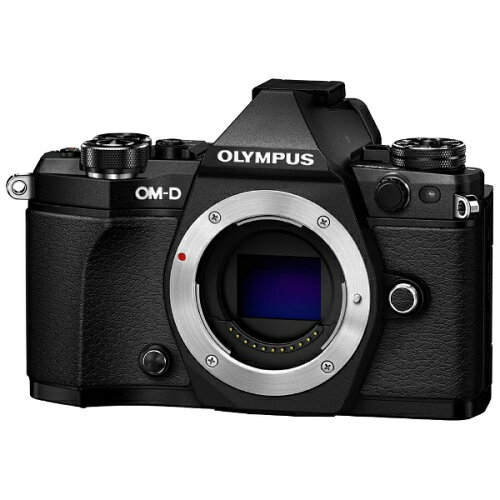 JAN 4545350048273 OLYMPUS ミラーレス デジタル一眼レフカメラ OM-D E-M5 Mark 2  BLACK OMデジタルソリューションズ株式会社 TV・オーディオ・カメラ 画像