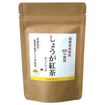 JAN 4549081845064 島根県産 しょうが紅茶 ティーバッグ 12個入 コモライフ株式会社 水・ソフトドリンク 画像