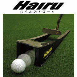 JAN 4560107210079 リョーマゴルフ ハイルストローク RY-002 RYOMA GOLF ゴルフ練習器具 ゴルフ練習用品 株式会社リョーマゴルフ スポーツ・アウトドア 画像