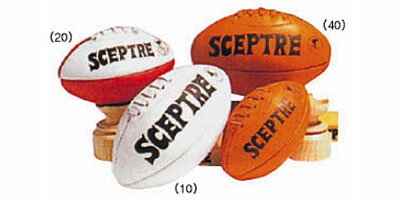 JAN 4560118010248 SCEPTRE(セプター) Accessories サインボール 中型 SP-60 【ラグビー用品】 株式会社セプター スポーツ・アウトドア 画像