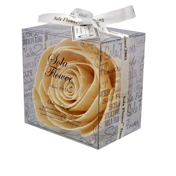 JAN 4560118597305 Sola Flower(ソラフラワー) ナチュラル (Original Rose -オリジナルローズ-(White)) 有限会社三和トレーディング 美容・コスメ・香水 画像