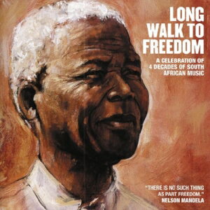 JAN 4560132378737 自由への長い道～南アフリカ音楽の40年/ＣＤ/WRR-873 有限会社オフィス・サンビーニャ CD・DVD 画像