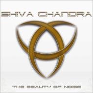JAN 4560133240040 The Beauty Of Noise Shiva Chandra サクラファインテックジャパン株式会社 CD・DVD 画像