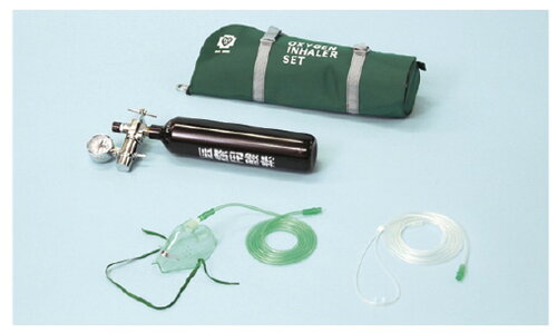 JAN 4560171824905 健康相談 製携帯用酸素吸入器スタンダードタイプ 30分用 OX-100S ブルークロス株式会社 医薬品・コンタクト・介護 画像