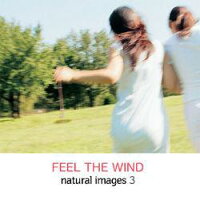 JAN 4560174420395 マイザ natural images Vol.3 FEEL THE WIND ソースネクスト株式会社 パソコン・周辺機器 画像