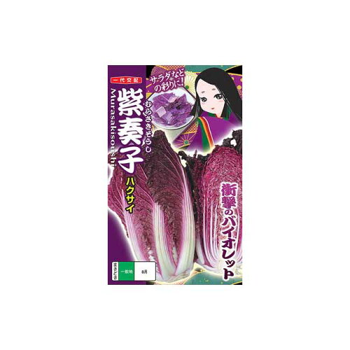 JAN 4560196231641 ナント種苗 紫奏子 白菜 白菜の種 ナント種苗株式会社 花・ガーデン・DIY 画像