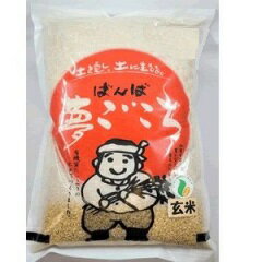 JAN 4560226850521 夢ごこち 玄米  有限会社ばんば 食品 画像