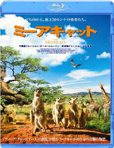 JAN 4560242141061 ミーアキャット　Blu-ray/Ｂｌｕ－ｒａｙ　Ｄｉｓｃ/SJ-10636 株式会社スタイルジャム CD・DVD 画像