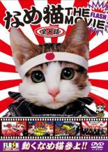 JAN 4560329851043 なめ猫 THE MOVIE FLASH DVD 株式会社エースデュース CD・DVD 画像