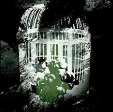 JAN 4562250640260 アニメ系CD マチゲリータ/alone 株式会社インクストゥエンター CD・DVD 画像