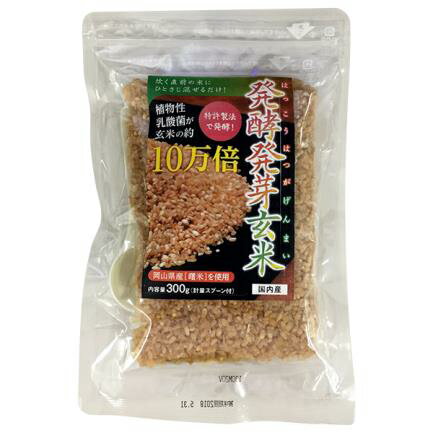 JAN 4562450932417 発酵発芽玄米   株式会社ディエイアイコーポレーション 食品 画像