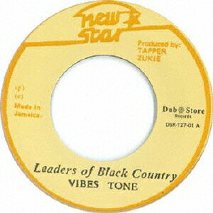 JAN 4571179533324 Leaders Of Black Country/Leaders Of Black Country Version シングル DSR-TZ7-1 有限会社ダブストアサウンドインク CD・DVD 画像