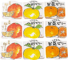 JAN 4571258122081 グリップ 愛媛の柑橘ゼリー三種味くらべ 9個セット BEMAC株式会社 スイーツ・お菓子 画像