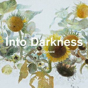 JAN 4571381530203 Into Darkness アルバム SKOR-1001 株式会社ソングエクス・ジャズ CD・DVD 画像
