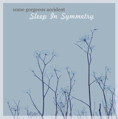 JAN 4571449970019 Some Gorgeous Accident / Sleep In Symmetry (同)Ars life design CD・DVD 画像