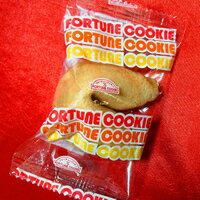 JAN 4573137990040 フォーチュンクッキー fortunecookies   スイーツ・お菓子 画像