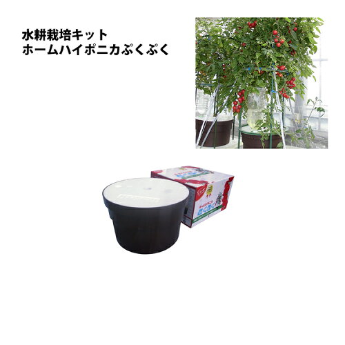 JAN 4580127120295 ホームハイポニカ　ぷくぷく 協和株式会社 花・ガーデン・DIY 画像