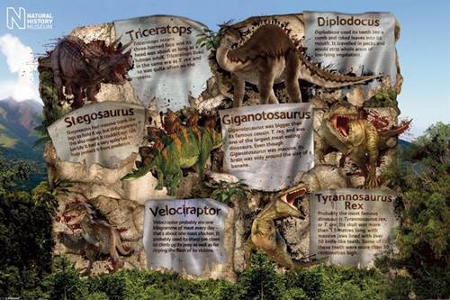 JAN 4580269336592 Natural History Museum Dinosaur Facts PPS-093 ポスター インテリアグッズ POSTER 株式会社ブライエンタープライズ ホビー 画像