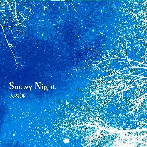 JAN 4580279485600 Snowy Night/CDシングル（12cm）/SAGAMI-5060 相模の風レコード CD・DVD 画像