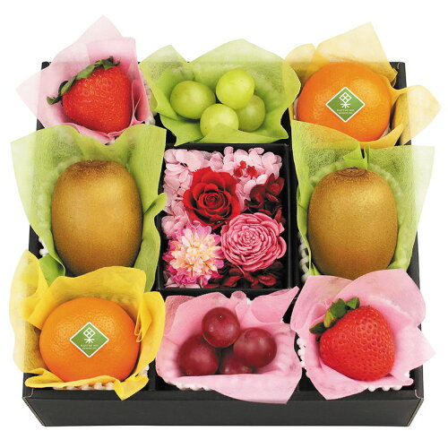 JAN 4580434987208 果実のキモチ フルーツ宝石箱 M-H-PHB 株式会社ヤバケイ 食品 画像