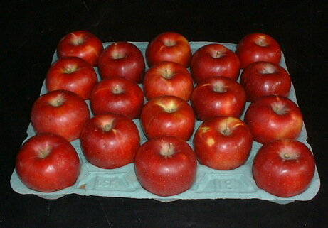 JAN 4580554970029 減農薬 生食用 長野産 紅玉りんご   有限会社公 食品 画像