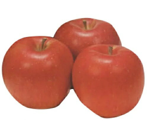 JAN 4580554970043 減農薬 長野産 シナノスイートりんご   有限会社公 食品 画像