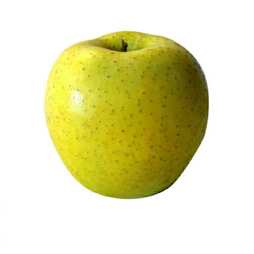 JAN 4580554970050 減農薬 長野産 シナノゴールドりんご   有限会社公 食品 画像