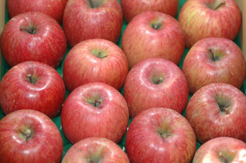 JAN 4580554970067 減農薬 長野産 サンふじりんご   有限会社公 食品 画像