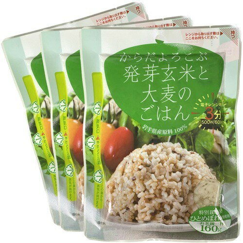 JAN 4582199000499 からだよろこぶ発芽玄米と大麦のごはん(160g*3袋入) 株式会社JAグリーンサービス花巻 食品 画像