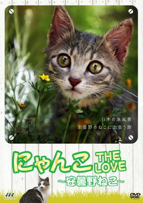 JAN 4582204240216 にゃんこTHE　LOVE　　～安曇野ねこ～/ＤＶＤ/MGD-21 モーションギャラリー CD・DVD 画像